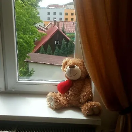 Narutowicza Apartman *